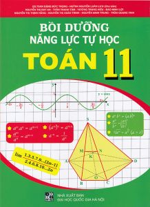 Sách - Bồi dưỡng năng lực tự học Toán 11