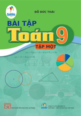 Sách - Bài tập Toán 9 tập 1 (Cánh Diều)