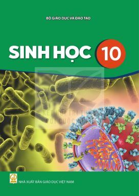 Sinh học 10 - Kết nối sgk