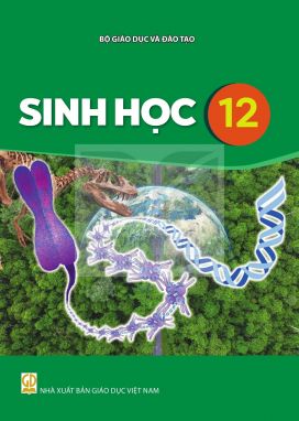 Sinh học 12 - Kết nối sgk