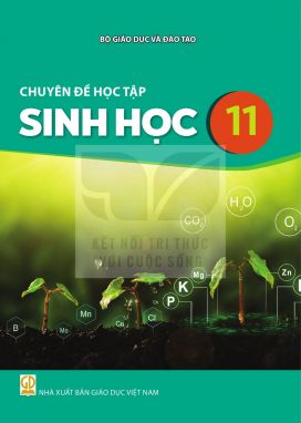 Chuyên đề học tập Sinh học 11 - Kết nối sgk