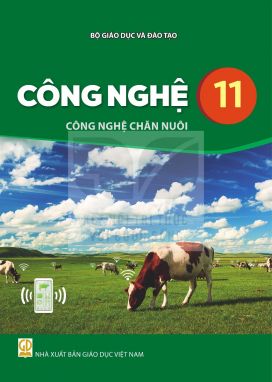 Công nghệ 11 - Công nghệ chăn nuôi - Kết nối sgk