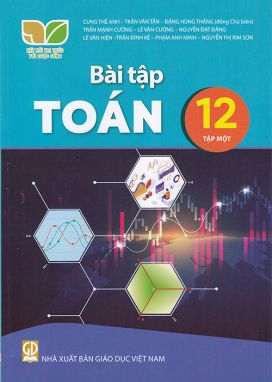 Sách - Bài tập Toán 12 tập 1 (Kết nối tri thức với cuộc sống)