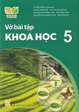 Sách - Vở bài tập Khoa học 5 (Kết nối tri thức với cuộc sống)