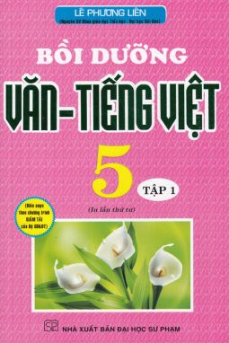 Bồi dưỡng văn - tiếng việt 5/1 HA1