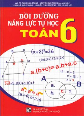 Bồi dưỡng năng lực tự học toán 6 ĐT1